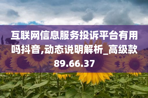 互联网信息服务投诉平台有用吗抖音,动态说明解析_高级款89.66.37