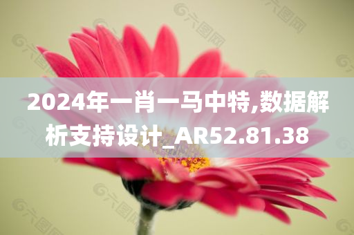 2024年一肖一马中特,数据解析支持设计_AR52.81.38