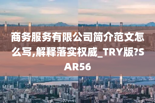 商务服务有限公司简介范文怎么写,解释落实权威_TRY版?SAR56