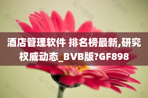 酒店管理软件 排名榜最新,研究权威动态_BVB版?GF898