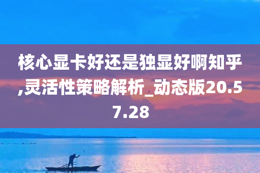 核心显卡好还是独显好啊知乎,灵活性策略解析_动态版20.57.28