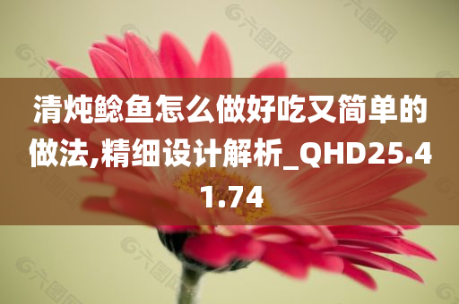 清炖鲶鱼怎么做好吃又简单的做法,精细设计解析_QHD25.41.74