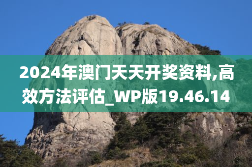 2024年澳门天天开奖资料,高效方法评估_WP版19.46.14