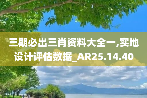 三期必出三肖资料大全一,实地设计评估数据_AR25.14.40