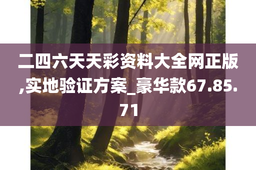 二四六天天彩资料大全网正版,实地验证方案_豪华款67.85.71