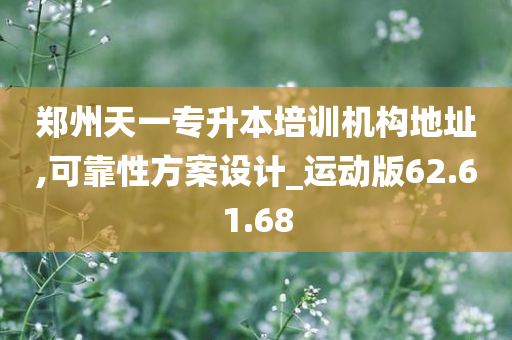 郑州天一专升本培训机构地址,可靠性方案设计_运动版62.61.68