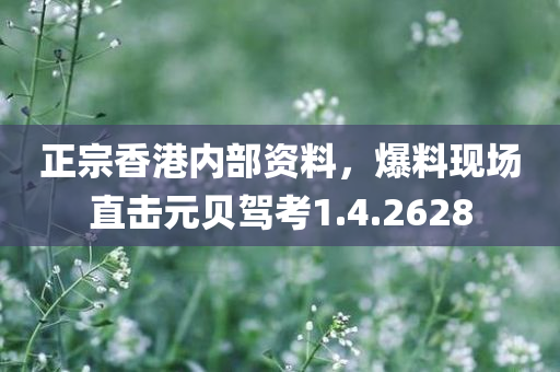 正宗香港内部资料，爆料现场直击元贝驾考1.4.2628