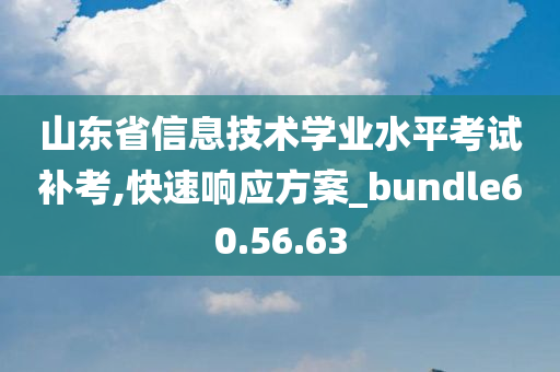 山东省信息技术学业水平考试补考,快速响应方案_bundle60.56.63