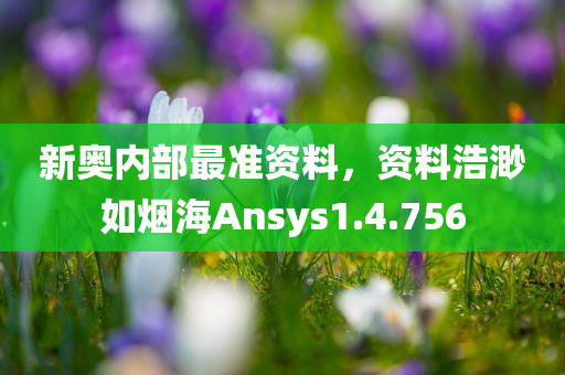 新奥内部最准资料，资料浩渺如烟海Ansys1.4.756