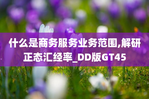 什么是商务服务业务范围,解研正态汇经率_DD版GT45