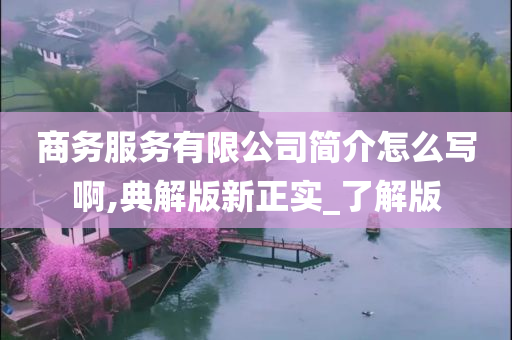 商务服务有限公司简介怎么写啊,典解版新正实_了解版