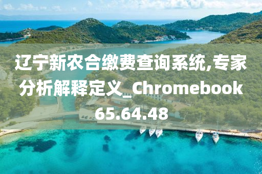 辽宁新农合缴费查询系统,专家分析解释定义_Chromebook65.64.48