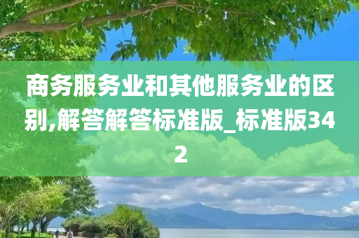 商务服务业和其他服务业的区别,解答解答标准版_标准版342