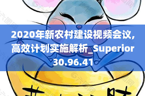 2020年新农村建设视频会议,高效计划实施解析_Superior30.96.41