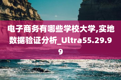 电子商务有哪些学校大学,实地数据验证分析_Ultra55.29.99