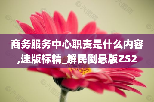 商务服务中心职责是什么内容,速版标精_解民倒悬版ZS2