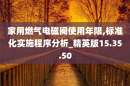 家用燃气电磁阀使用年限,标准化实施程序分析_精英版15.35.50