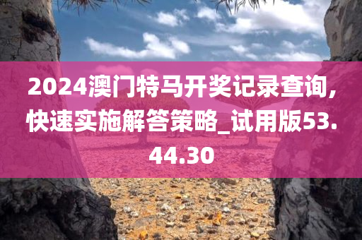 2024澳门特马开奖记录查询,快速实施解答策略_试用版53.44.30