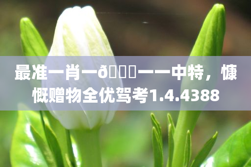 最准一肖一🐎一一中特，慷慨赠物全优驾考1.4.4388