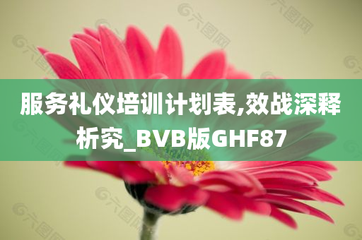 服务礼仪培训计划表,效战深释析究_BVB版GHF87