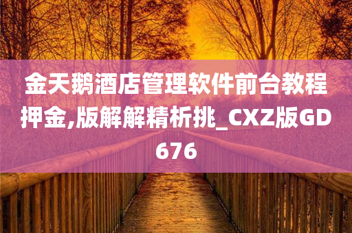 金天鹅酒店管理软件前台教程押金,版解解精析挑_CXZ版GD676