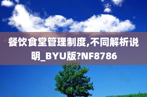 餐饮食堂管理制度,不同解析说明_BYU版?NF8786