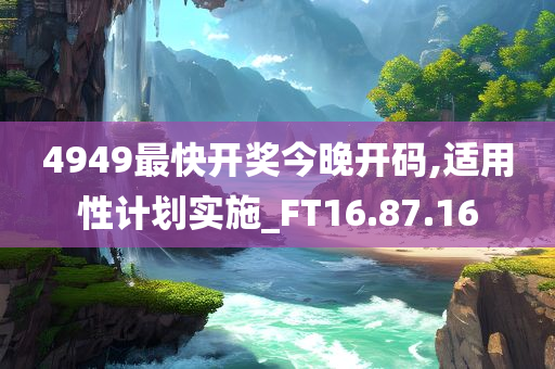 4949最快开奖今晚开码,适用性计划实施_FT16.87.16