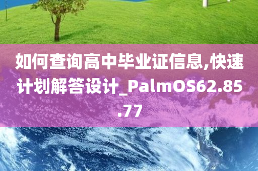 如何查询高中毕业证信息,快速计划解答设计_PalmOS62.85.77