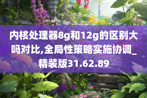 内核处理器8g和12g的区别大吗对比,全局性策略实施协调_精装版31.62.89