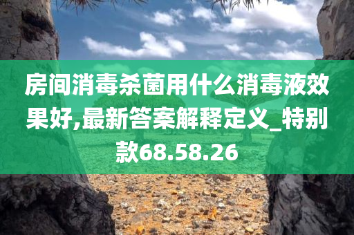 房间消毒杀菌用什么消毒液效果好,最新答案解释定义_特别款68.58.26