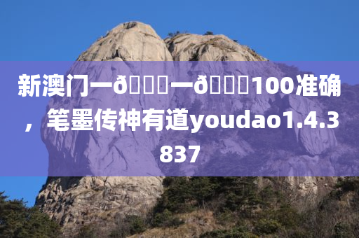 新澳门一🐎一🐎100准确，笔墨传神有道youdao1.4.3837