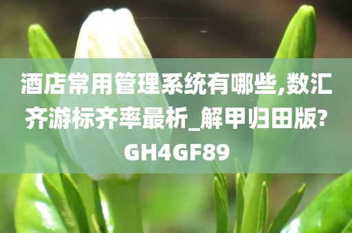 酒店常用管理系统有哪些,数汇齐游标齐率最析_解甲归田版?GH4GF89