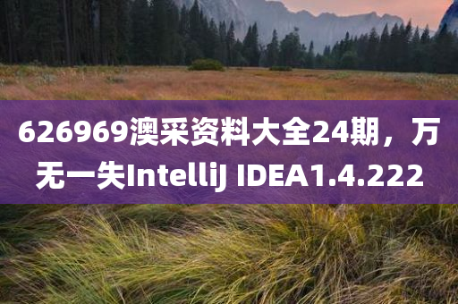 626969澳采资料大全24期，万无一失IntelliJ IDEA1.4.222