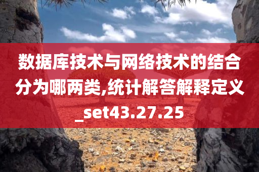 数据库技术与网络技术的结合分为哪两类,统计解答解释定义_set43.27.25