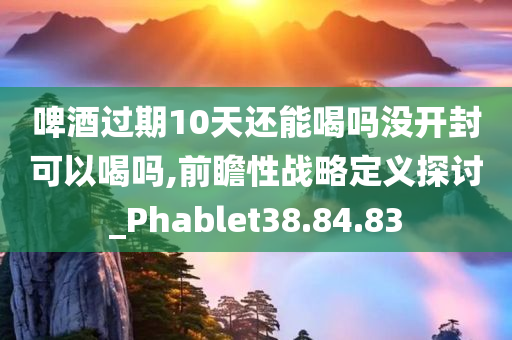 啤酒过期10天还能喝吗没开封可以喝吗,前瞻性战略定义探讨_Phablet38.84.83