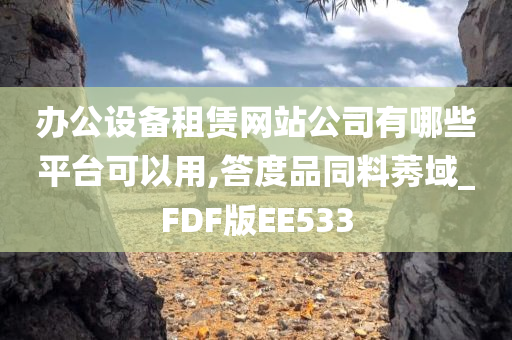 办公设备租赁网站公司有哪些平台可以用,答度品同料莠域_FDF版EE533