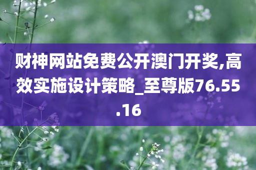 财神网站免费公开澳门开奖,高效实施设计策略_至尊版76.55.16