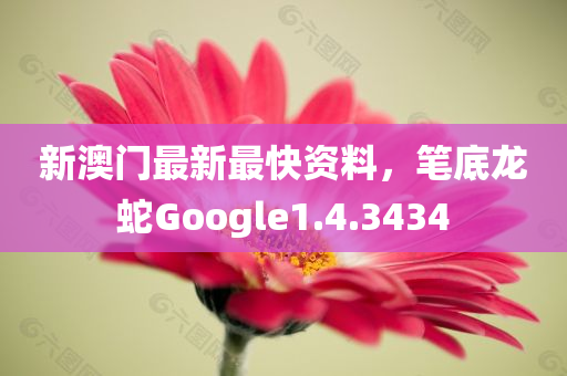 新澳门最新最快资料，笔底龙蛇Google1.4.3434