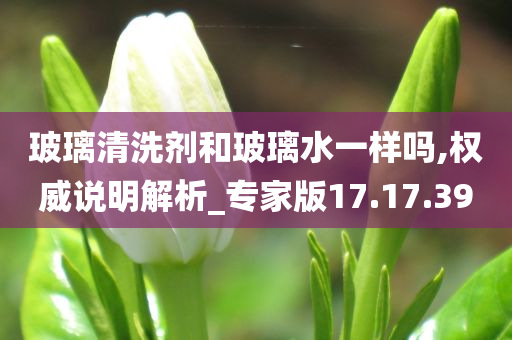 玻璃清洗剂和玻璃水一样吗,权威说明解析_专家版17.17.39