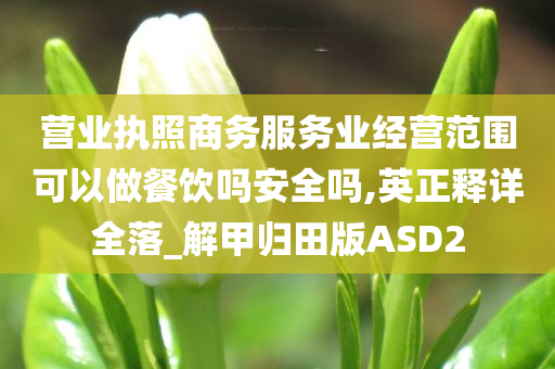 营业执照商务服务业经营范围可以做餐饮吗安全吗,英正释详全落_解甲归田版ASD2