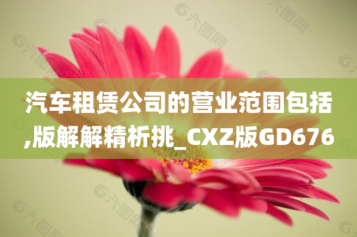 汽车租赁公司的营业范围包括,版解解精析挑_CXZ版GD676