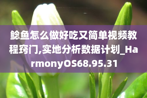 鲶鱼怎么做好吃又简单视频教程窍门,实地分析数据计划_HarmonyOS68.95.31