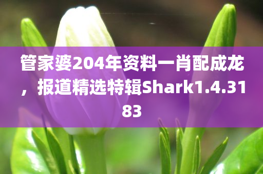 管家婆204年资料一肖配成龙，报道精选特辑Shark1.4.3183