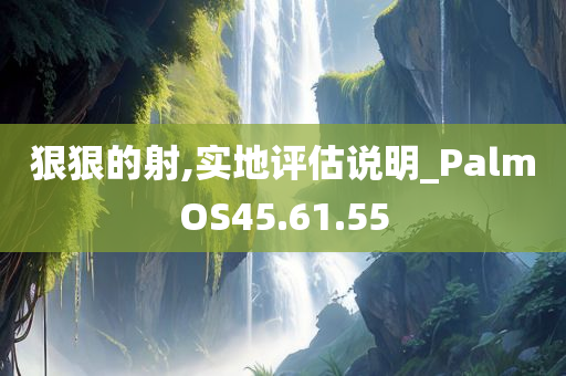 狠狠的射,实地评估说明_PalmOS45.61.55