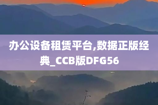 办公设备租赁平台,数据正版经典_CCB版DFG56