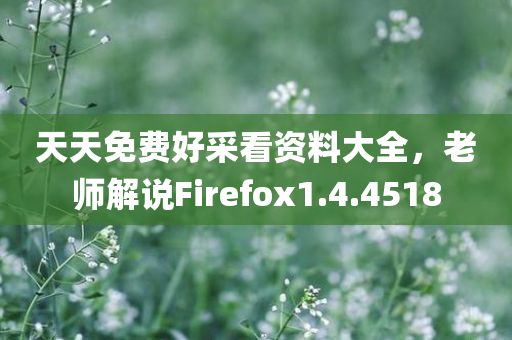 天天免费好采看资料大全，老师解说Firefox1.4.4518