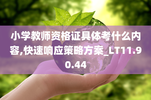 小学教师资格证具体考什么内容,快速响应策略方案_LT11.90.44