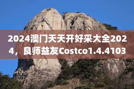 2024澳门天天开好采大全2024，良师益友Costco1.4.4103