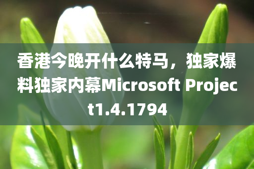 香港今晚开什么特马，独家爆料独家内幕Microsoft Project1.4.1794