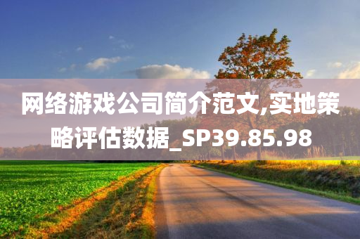 网络游戏公司简介范文,实地策略评估数据_SP39.85.98